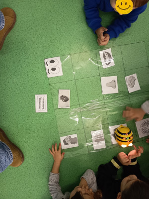 Ποιο μέρος του σώματος είμαι;